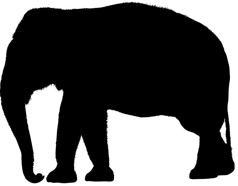 800x624 Indian Elephant Silhouette Images Pictures