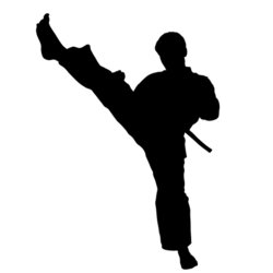 250x250 Karate Silhouette Clipart