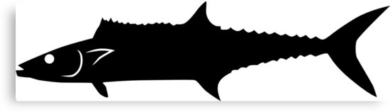 550x158 King Mackerel Fish Silhouette (Black) Canvas Prints By