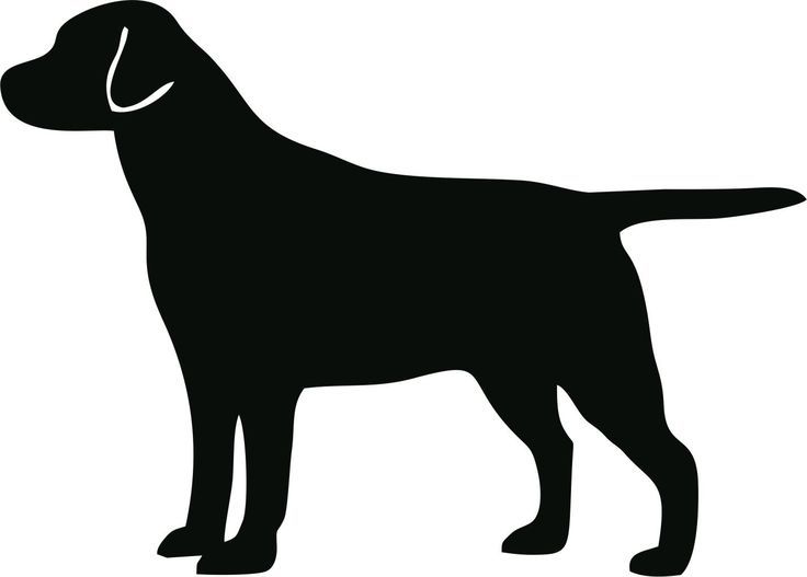 736x527 Golden Retriever Clipart Silhouette Many Interesting Cliparts