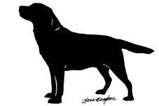 227x151 Labrador Retriever Metal Wall Art