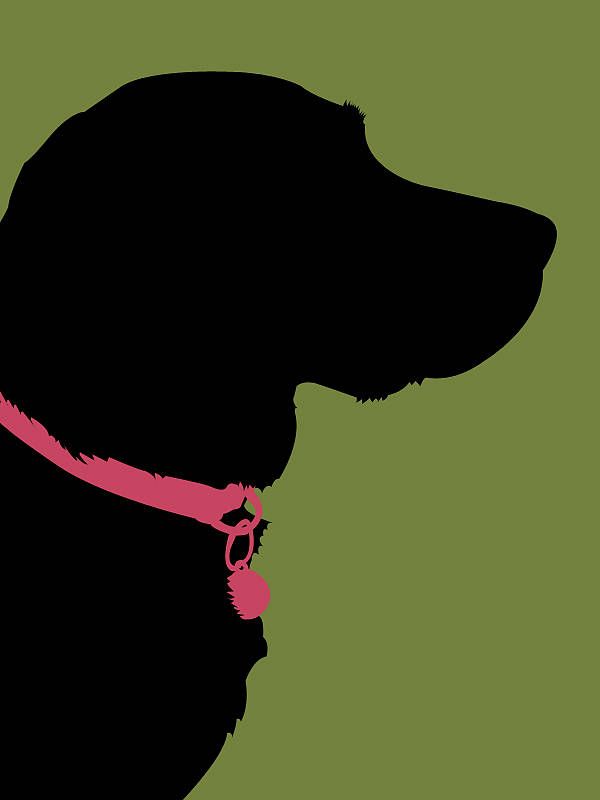 600x800 Personalised Pet Silhouette Print By Cat's Print Shop