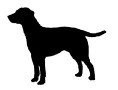 236x180 Black Lab Silhouette Monogrammed Ornament