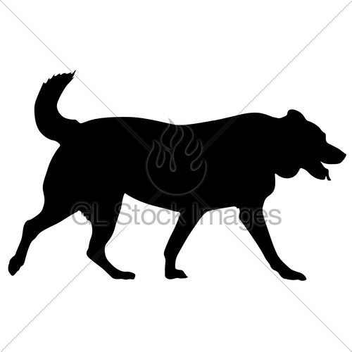 500x500 Labrador Dog Silhouette On A White Background Gl Stock Images
