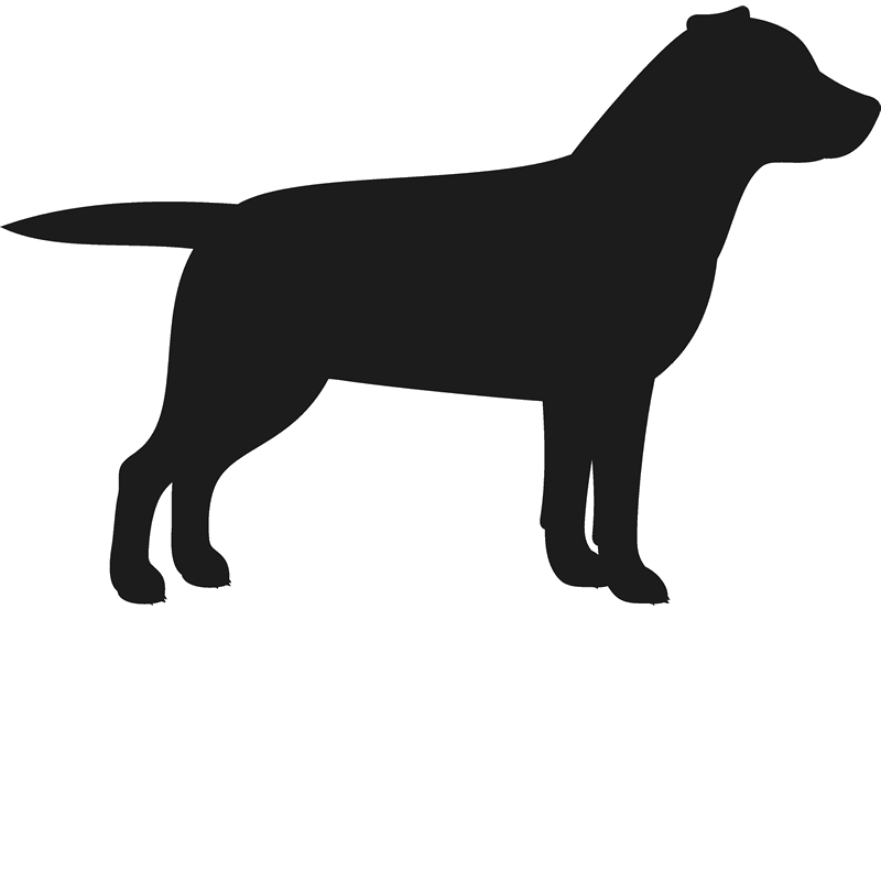 800x800 Labrador Retriever Stamp (Silhouette) Dog, Cat Amp Fur Baby Stamps