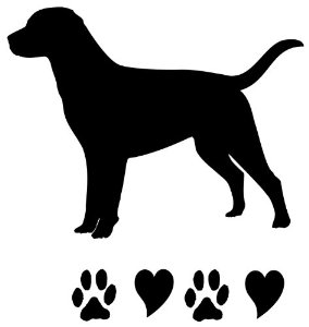 284x300 Black Labrador Retriever Clipart