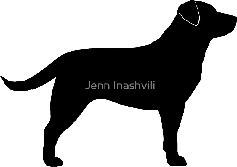 800x564 Black Labrador Retriever Silhouette(S) Stickers By Jenn Inashvili