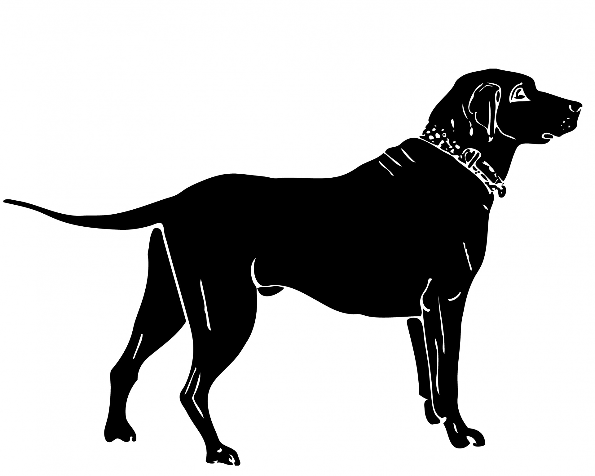 1920x1535 Dog, Labrador Silhouette Free Stock Photo