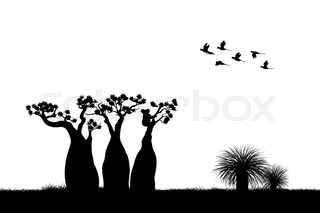 320x213 Australian Landscape. Black Silhouette Of Emu Ostrich On White