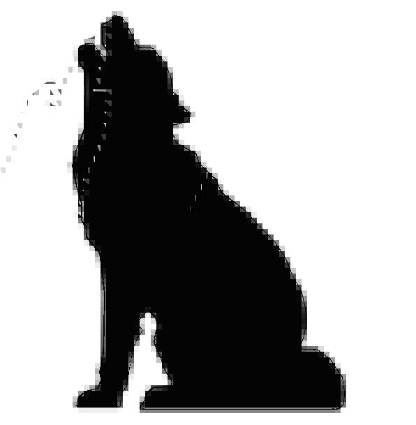 596x609 Lycanthropy Pixcove