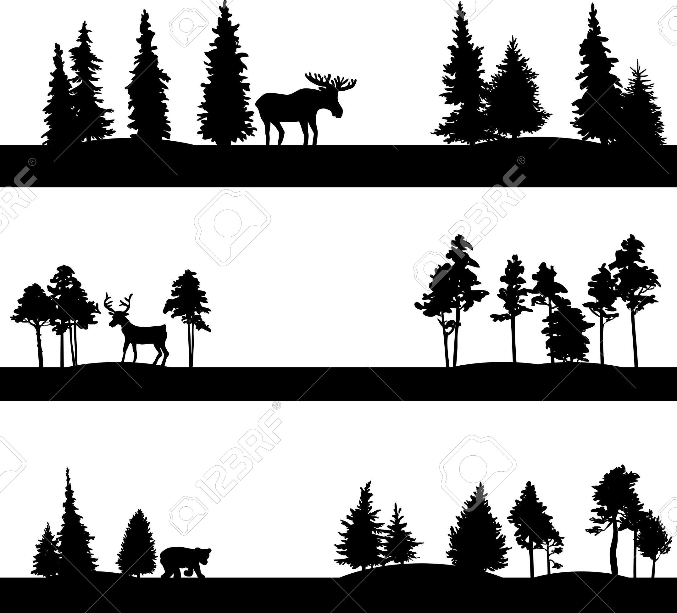 2153x1948 Set Of Different Landscapes With Coniferous Trees And Wild Animals