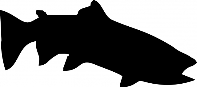 640x284 Fish Salmon Silhouette Laser Cut Appliques