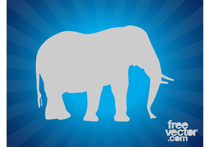 700x490 Elephant Silhouette Layout