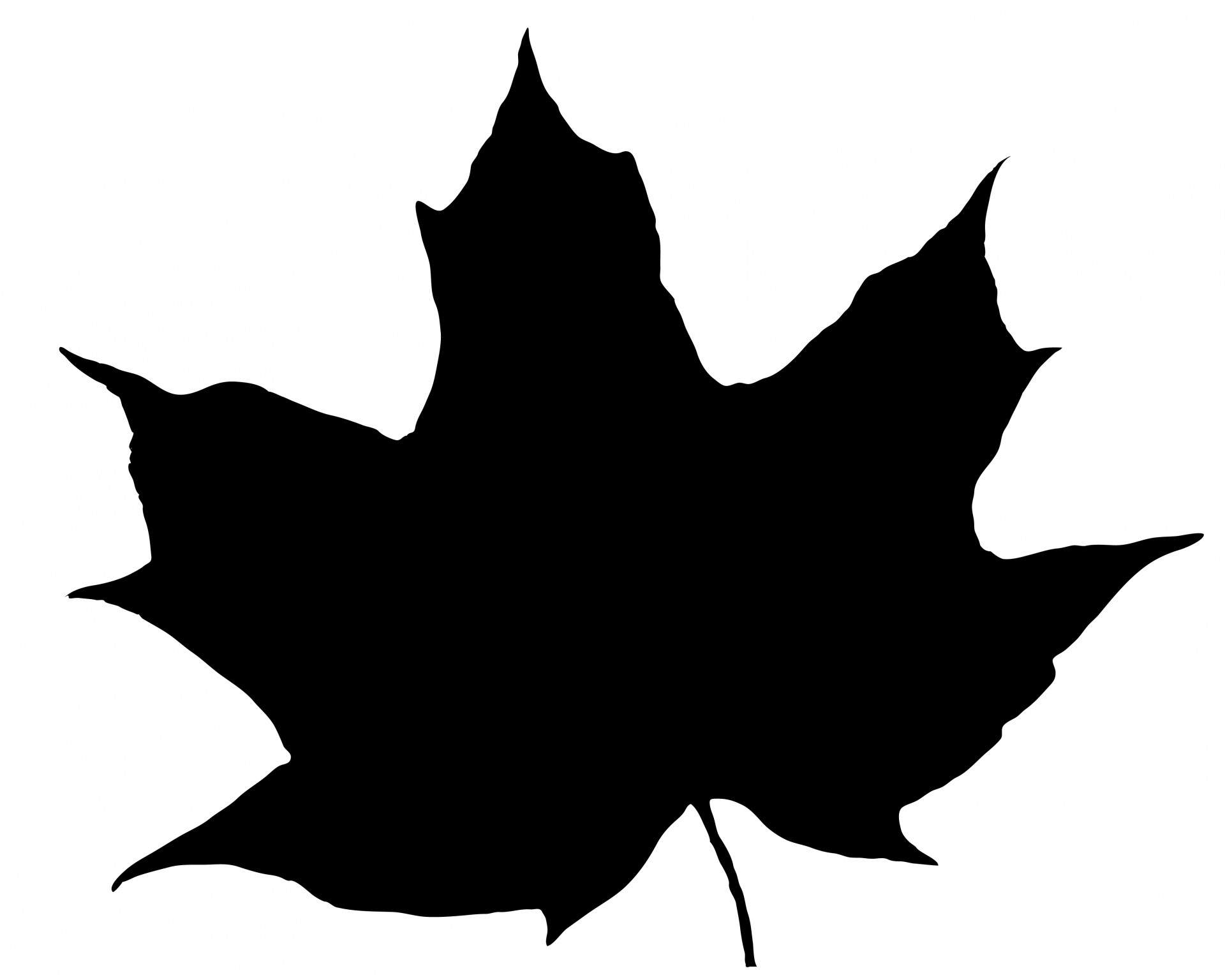 1920x1536 Leaf Silhouette Free Stock Photo