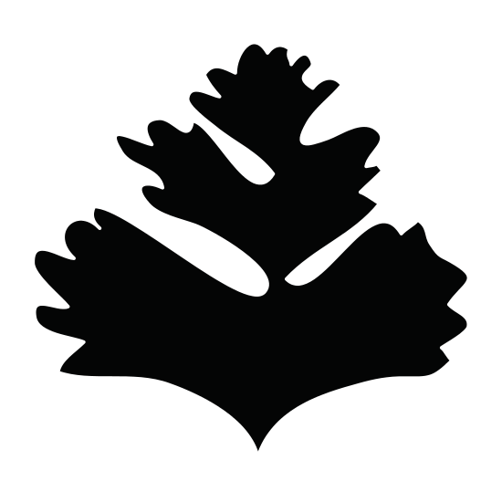550x550 Parsley Leaves Silhouette
