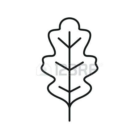 450x450 Oak Leaf Outline