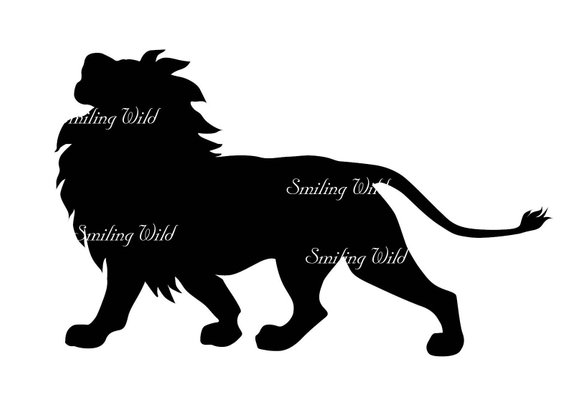570x403 Lion Vector Graphic Svg Wild Animal Silhouette Clipart Cutout