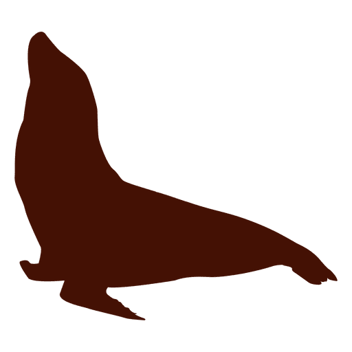 512x512 Sea Lion Silhouette Looking Up