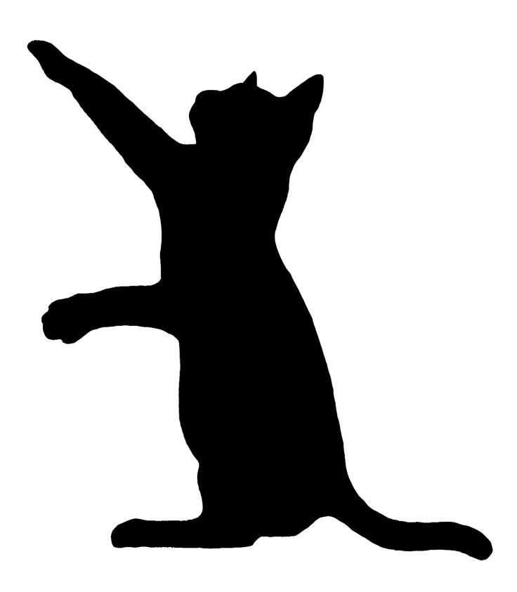 736x843 Cat Sitting Silhouette Clip Art