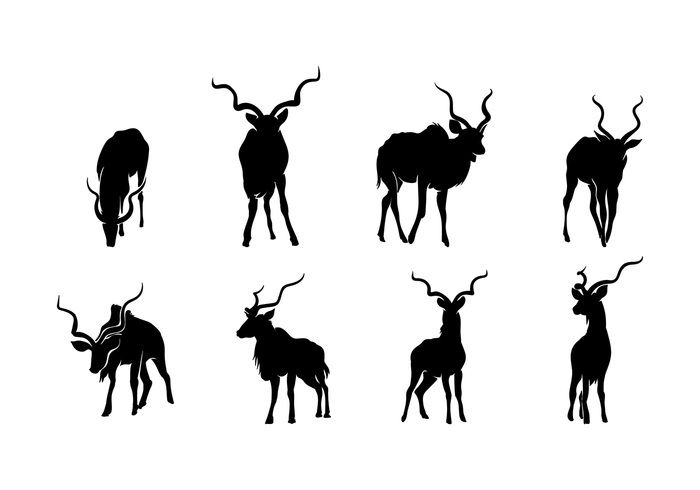700x490 Kudu Silhouette Vector Curio Silhouettes