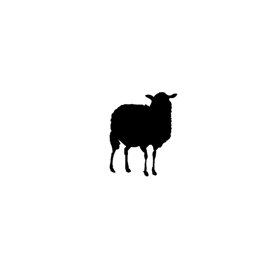 539x539 Home The Black Sheep