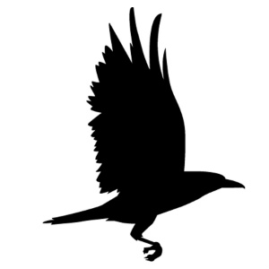 300x300 Restaurant The Raven Resort