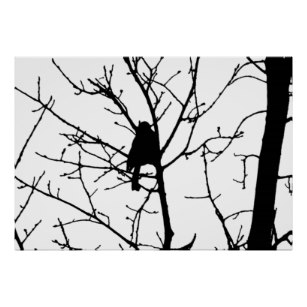 307x307 Love Birds Bird Silhouette Posters Zazzle