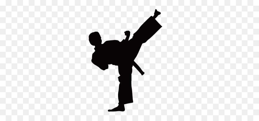 900x420 Karate Wall Decal Kick Martial Arts