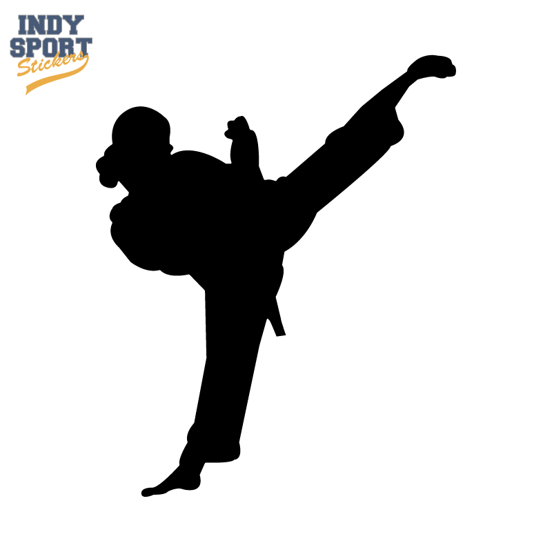 800x800 Martial Arts Karate Female Girl Kicking Silhouette