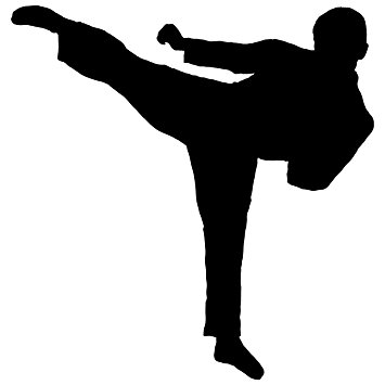 355x355 Martial Arts Wall Decal Sticker 15