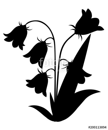 417x500 Black Silhouette. Bluebell Flower With Leaves. Floral Icon. Vector