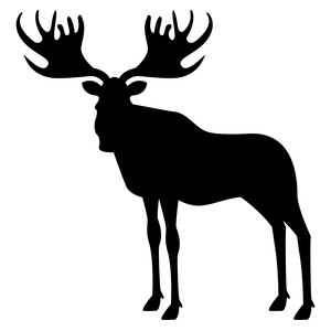 300x300 Silhouette Design Store