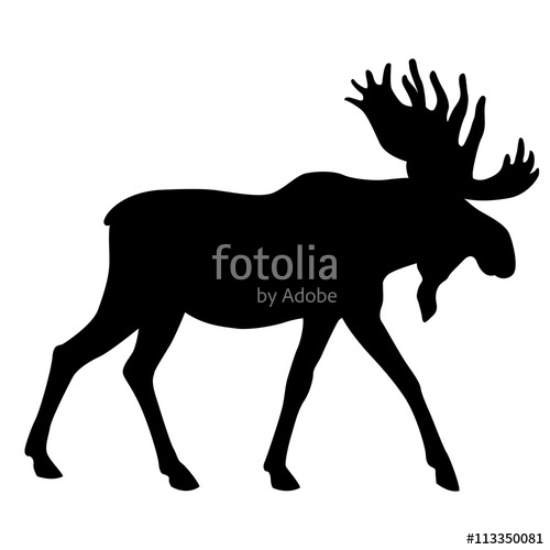 500x500 Adult Moose Go Black Silhouette Stock Image And Royalty Free