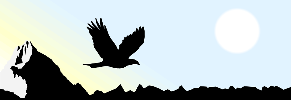 958x331 Eagle Free Stock Photo Illustrated Silhouette Of An Eagle