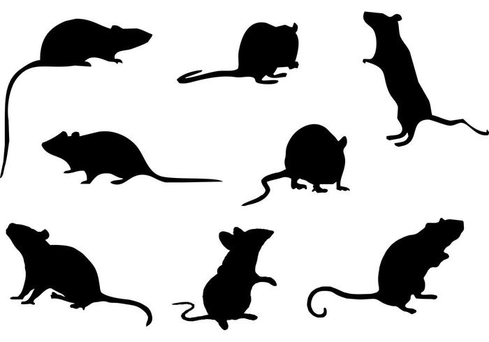 700x490 Free Mice Silhouette Vector