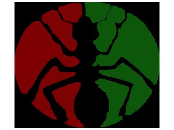 600x450 Live From Ferguson, Mo The Aftermath Of Murder