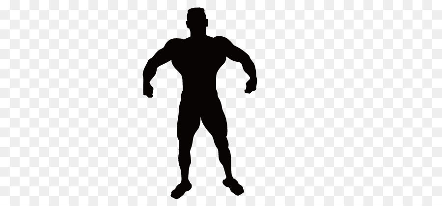 900x420 Vitruvian Man Silhouette Muscle Clip Art