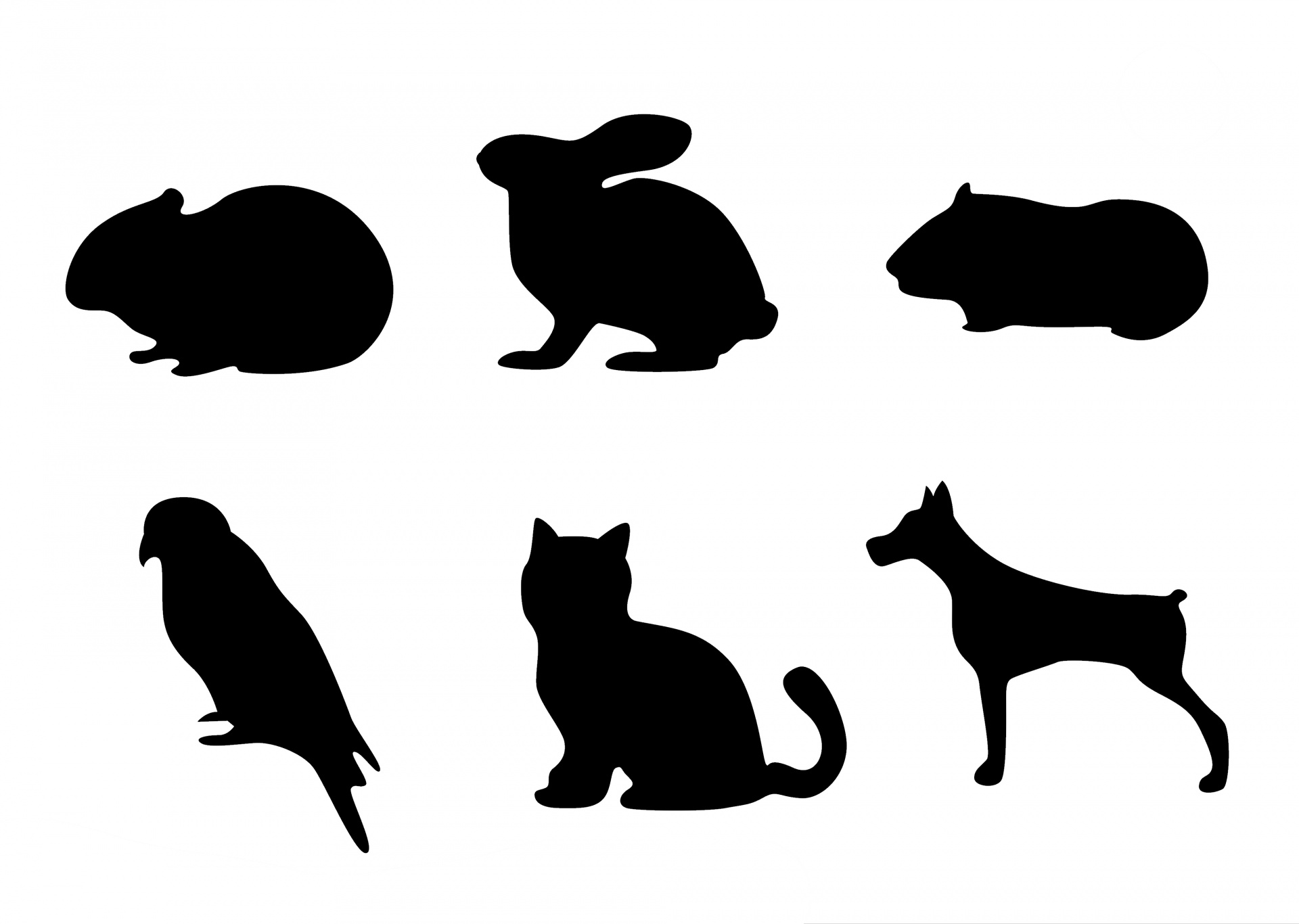 1920x1366 Pet Silhouette Icons Free Stock Photo