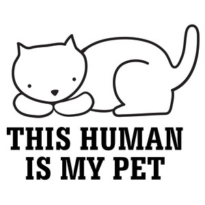 300x300 Silhouette Design Store