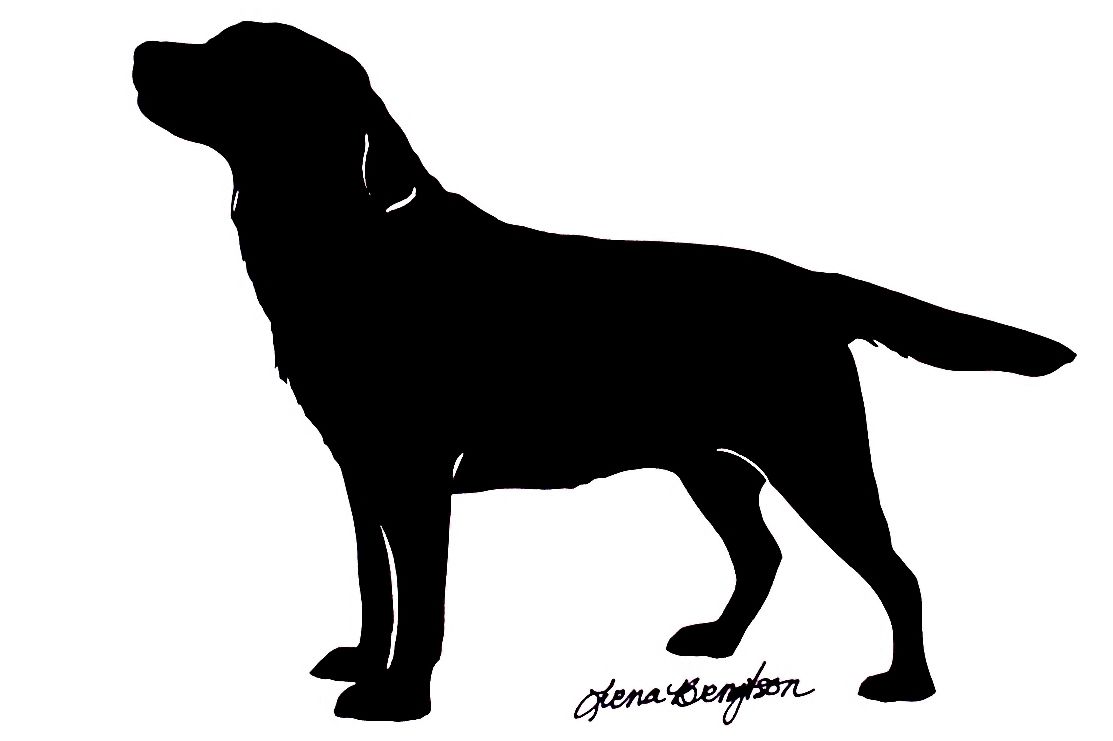 1113x741 Labrador Silhouettes Pictures 20 00 My Pet Silhouette Find Your