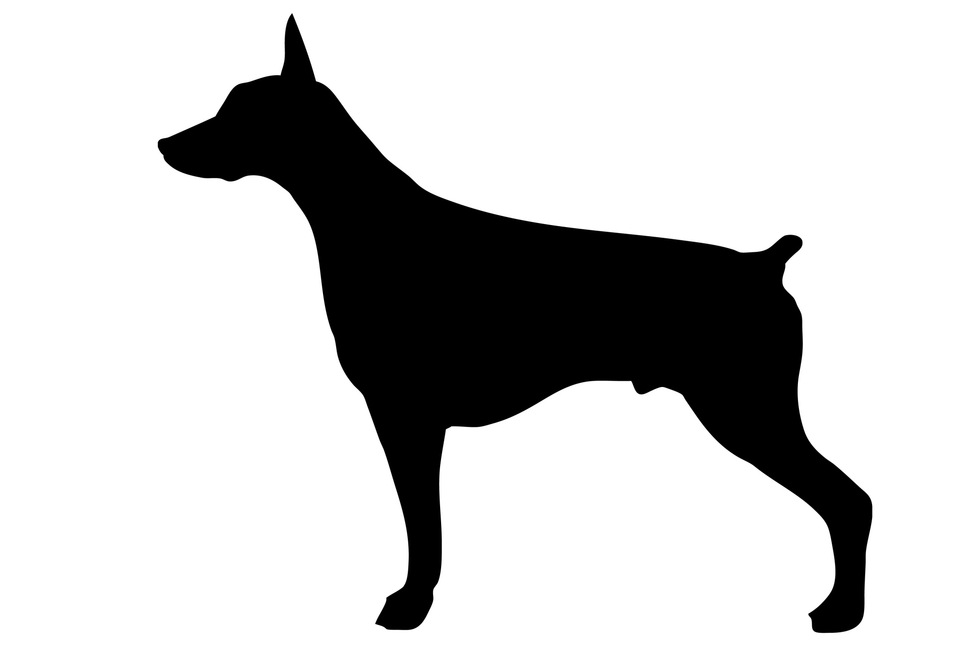 1920x1280 Dog, Doberman Black Silhouette Free Stock Photo