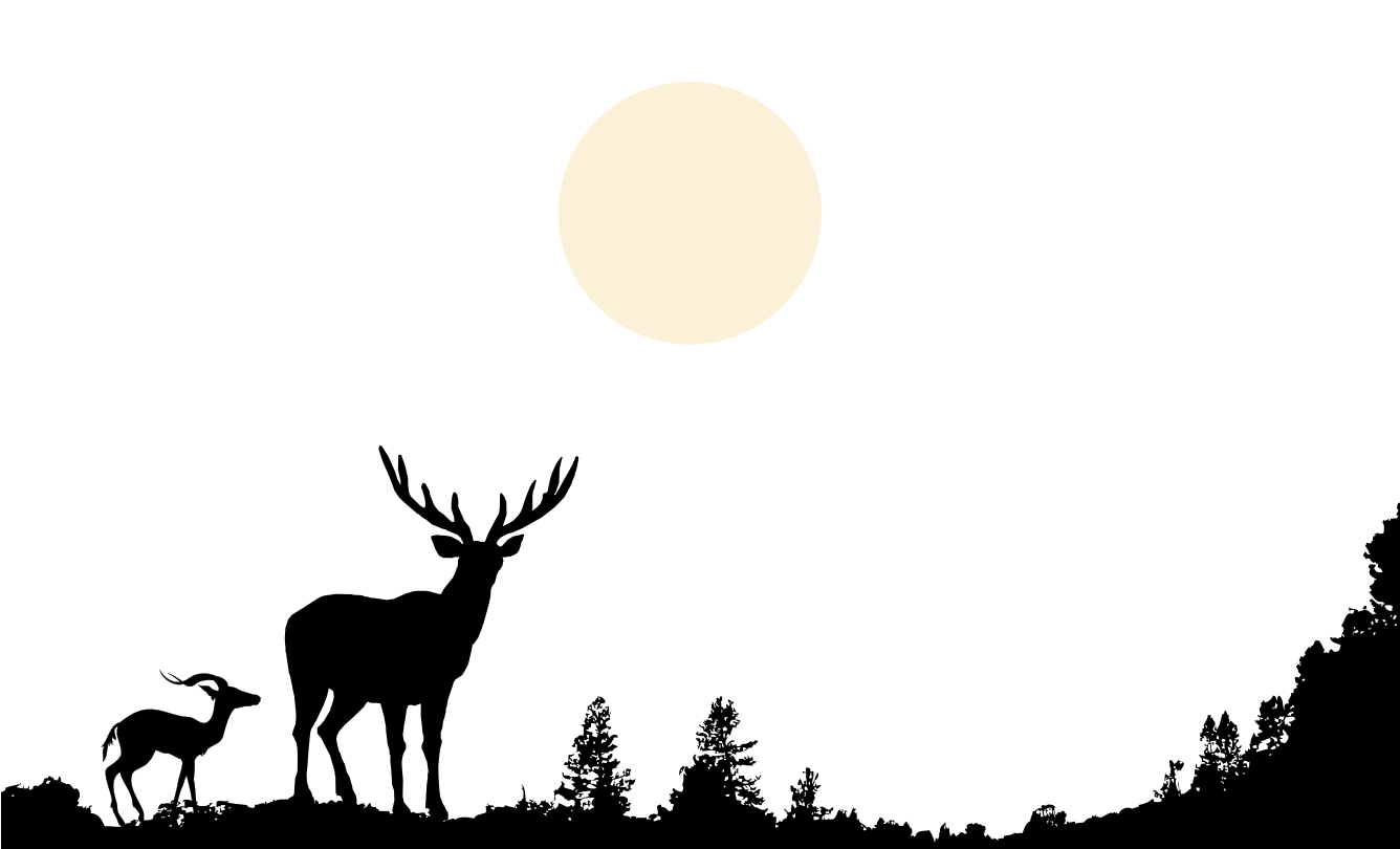 1336x810 Deer Nature Wildlife Clip Art