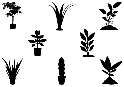 501x351 Plant Silhouette Vector Packsilhouette Clip Art H
