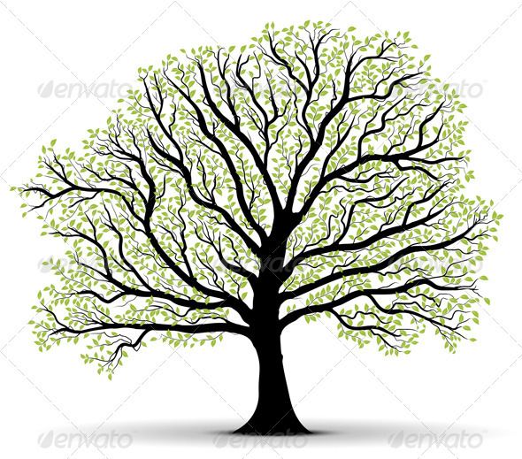 590x519 Big Vector Tree Illustration Silhouette Silhouette, Family Trees