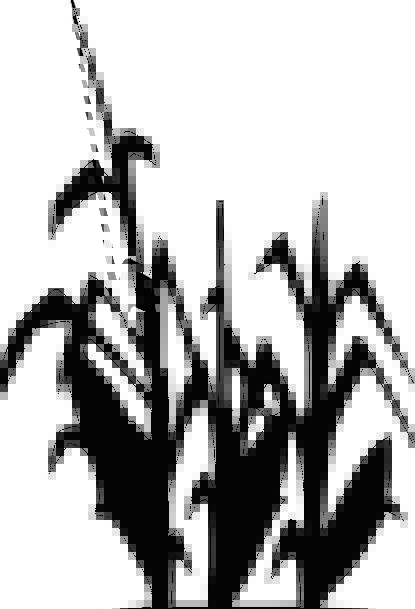 415x609 Black, Dark, Landscapes, Outline, Nature, Plants, Florae