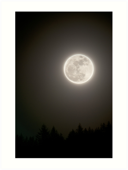 413x549 Full Moon In The Night Sky With Silhouette Of Trees Night