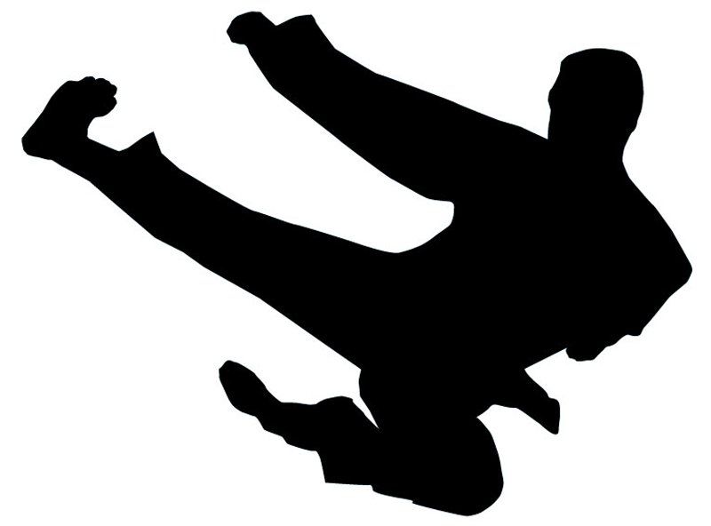 800x592 Ninja Kick Silhouette