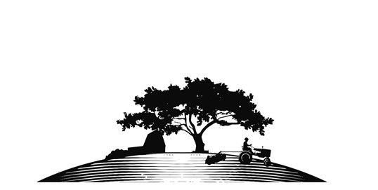 538x271 Silhouette Of Farmer Driving Tractor Harrowing Field At Sunset