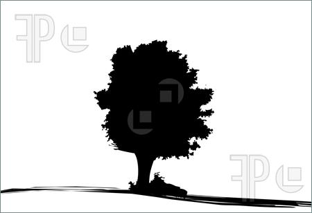450x308 Of Silhouette Of Oak Tree Clipart Panda