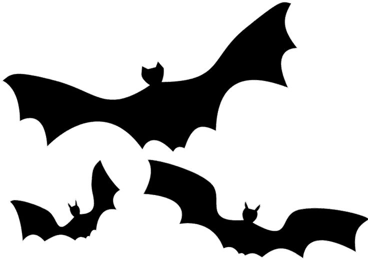 736x552 Bat Clip Art Ideas On Silhouette Images